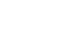 VulnVortex